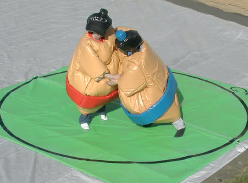 FESTIVITRE LOC SUMO 589