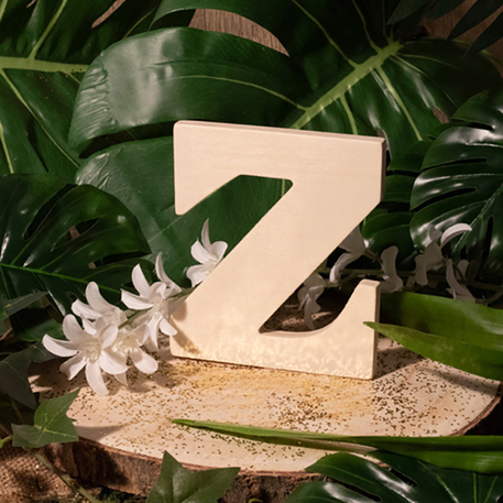Festivitré 72476 1