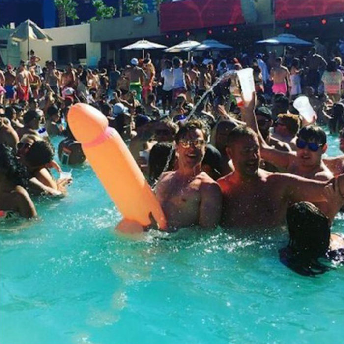 Festivitré Willy 3