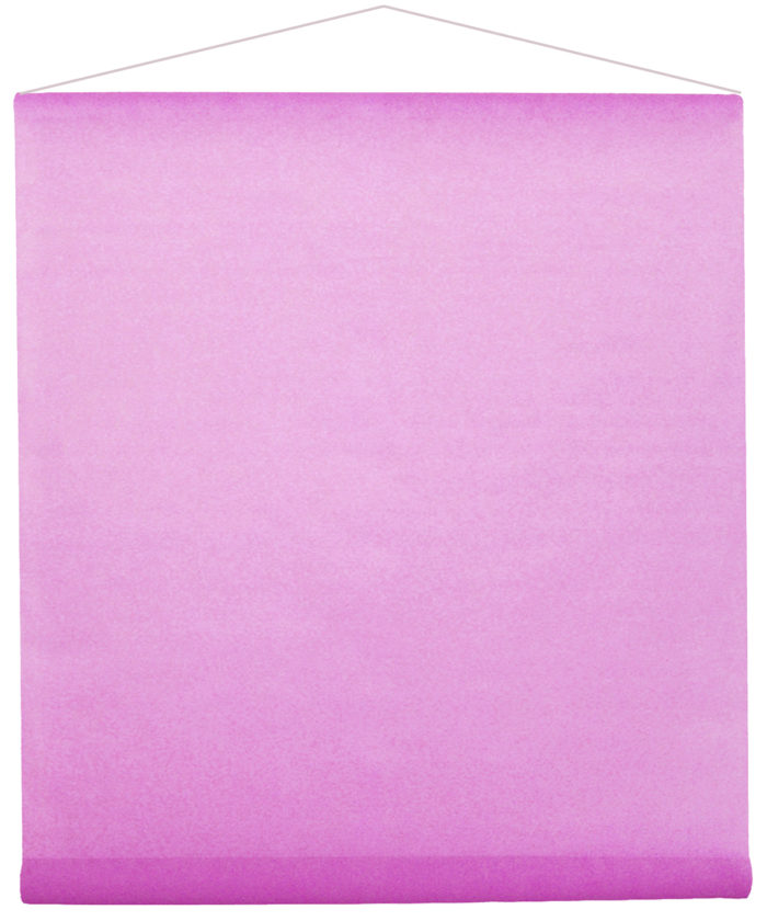 Festivitré 2933 17 Prune