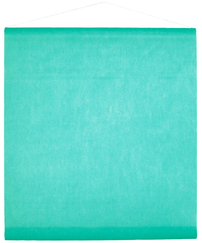 Festivitré 2933 28 Mint