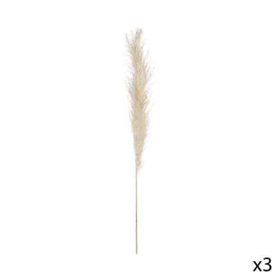 Festivitré 179282 1