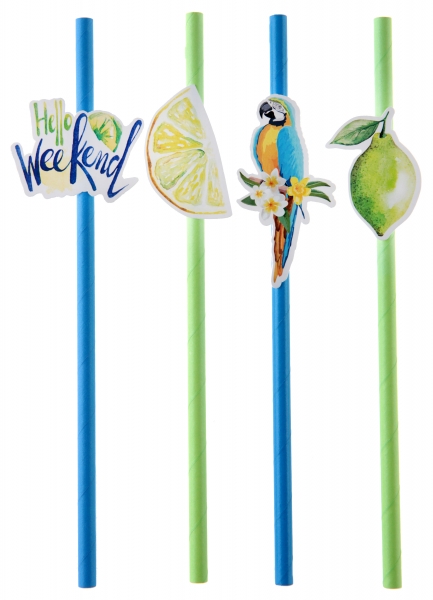 Festivitre 6310 99 Multicolore