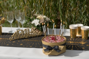 Festivitre 3 94 7576