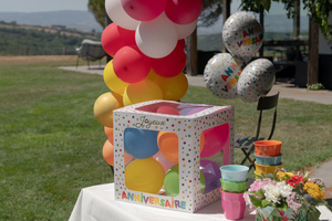 Festivitre 3 97 8033