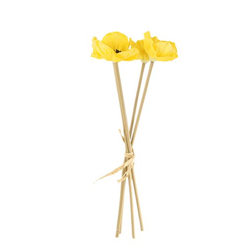 Festivitre 93465