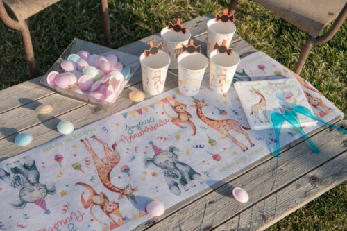 ANNIVERSAIRE ENFANT PAR THEMES
