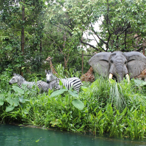 ANNIVERSAIRE JUNGLE ANIMAUX