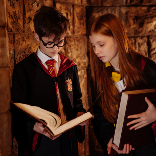 ANNIVERSAIRE MAGIQUE HARRY POTTER